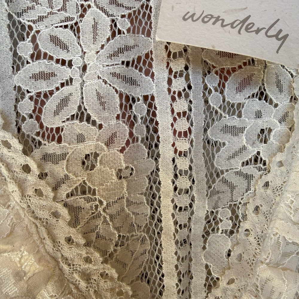 Wonderly Cream Lace V-Neck Blouse - Picture 6 of 6